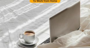 Best Laptops to Work from Home in 2024